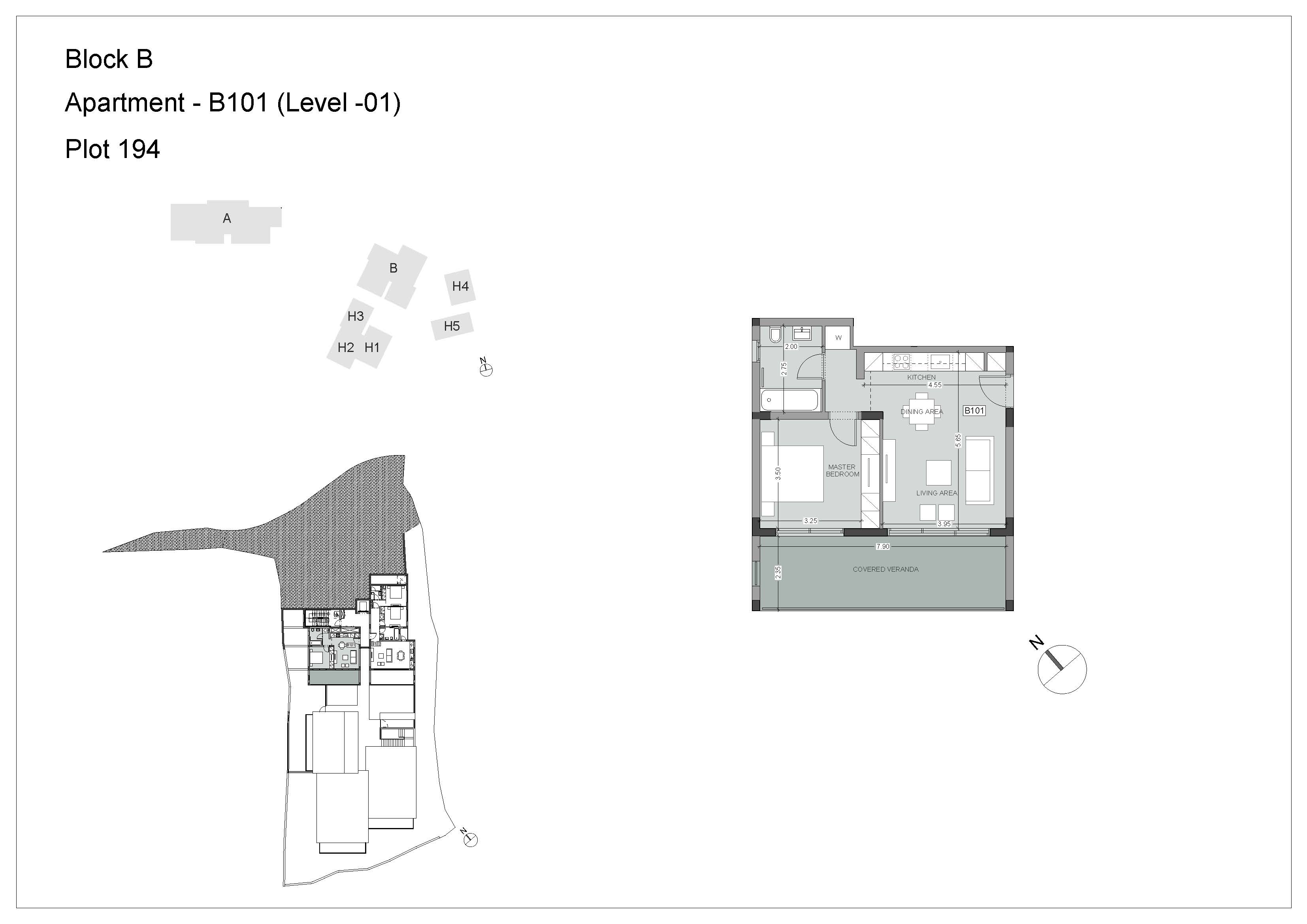 Blackpine block B apartment B101 layout